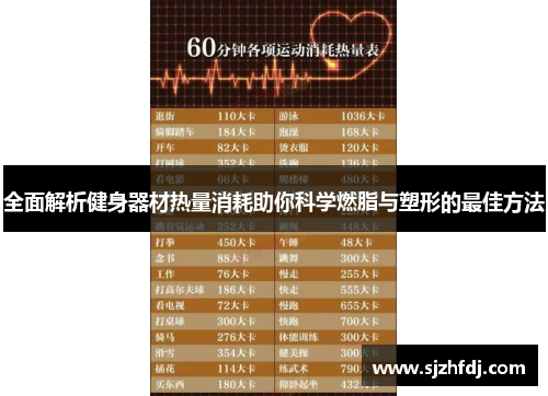 全面解析健身器材热量消耗助你科学燃脂与塑形的最佳方法