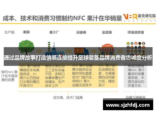 通过品牌故事打造情感连接提升足球装备品牌消费者忠诚度分析